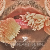 TORO Y MOI, "Underneath The Pine"