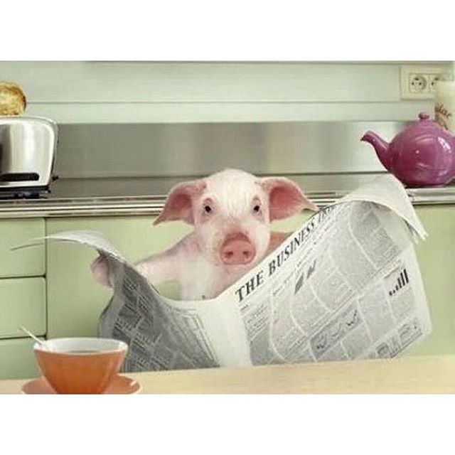 Also our readers' #top7 is out! #sufjanstevens #iosonouncane #tameimpala #kendricklamar #juliaholter #courtneybarnett #leonbridges