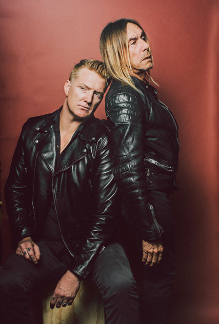 IGGY-blog427