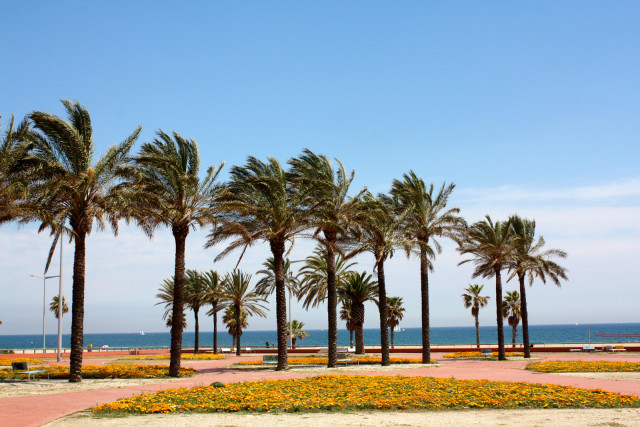 Parc-de-la-Pau-Port-Forum