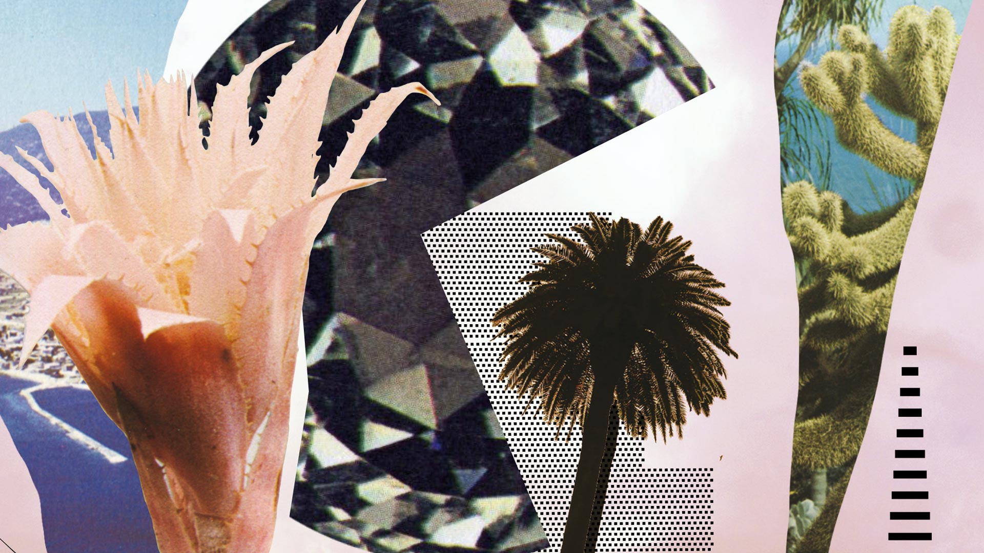 lobby_boys_nervi_cani_03