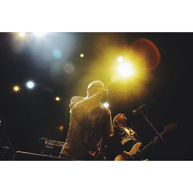 WAY OUT WEST HIGHLIGHTS // DESCENDENTS (day 3)report and pics online on Kalporz.compic by @chiaraviolenta