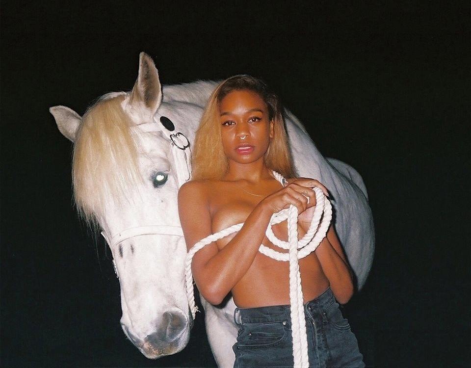 13418403_530801510436997_157643465097183332_o