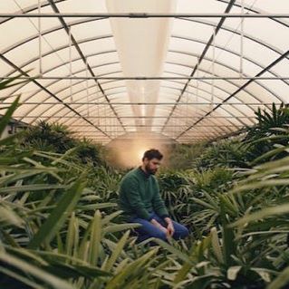 #February #cover #story: #dirtyprojectors