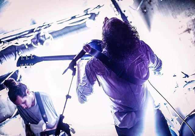 Brand new single by The Fews! ️ #paradiso